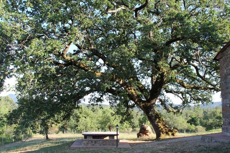 Agriturismo La Quercia Boccheggiano Bagian luar foto