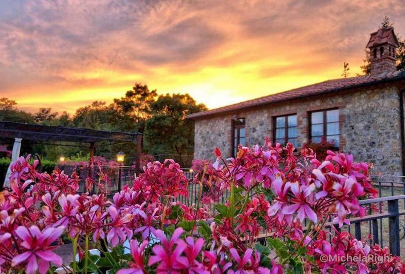 Agriturismo La Quercia Boccheggiano Bagian luar foto